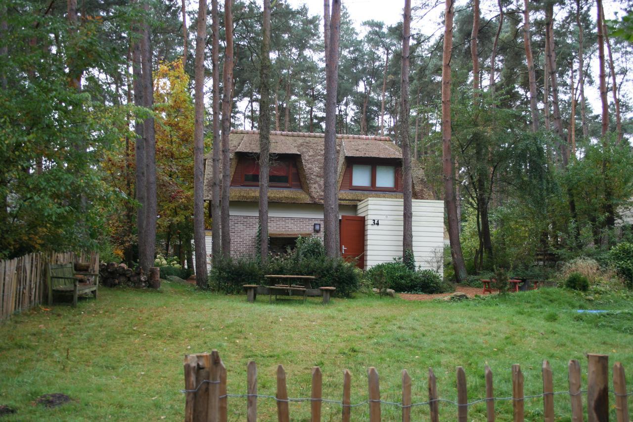 Waterlelie 34 Rekem Villa Eksteriør bilde